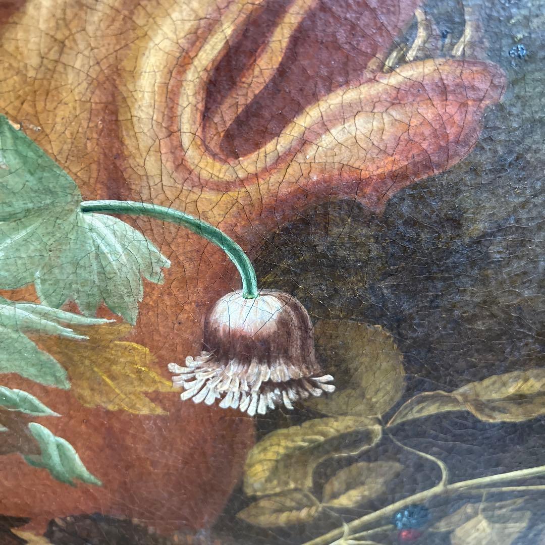 Montanari Papagallo 油彩画 50x70 cm