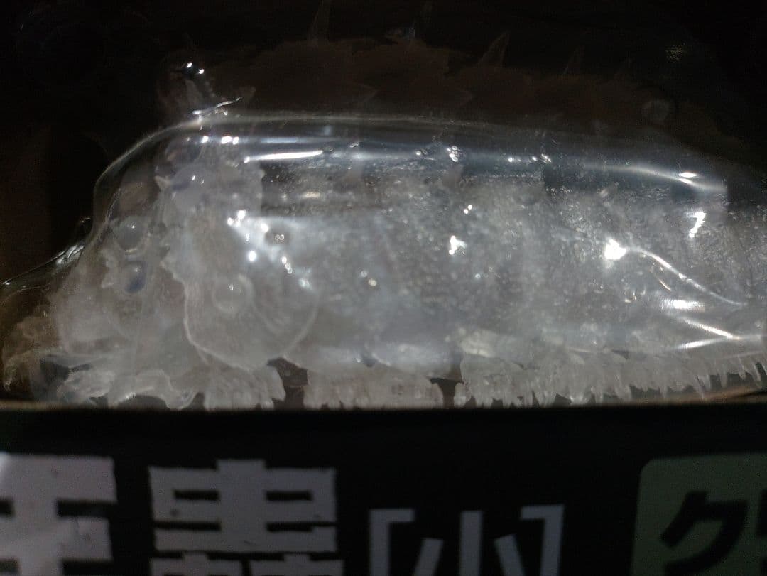 王蟲[小]クリアver. 風の谷のナウシカ