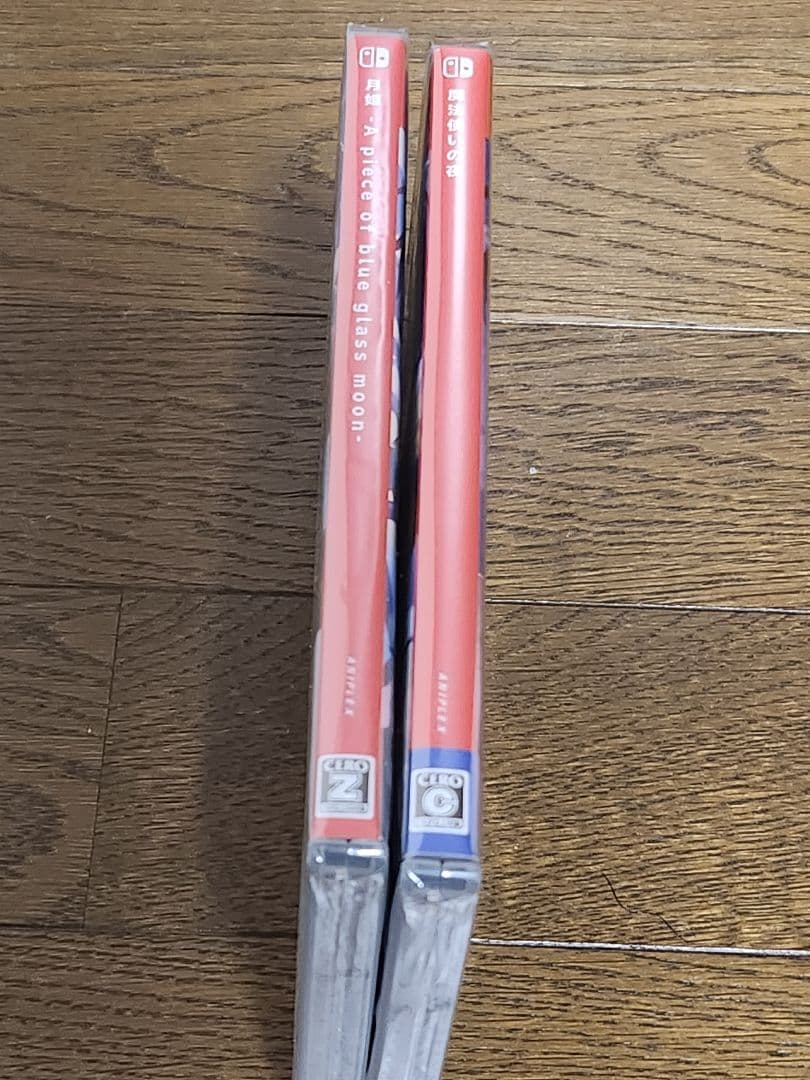 Nintendo Switch 月姫 魔法使いの夜限定版セット