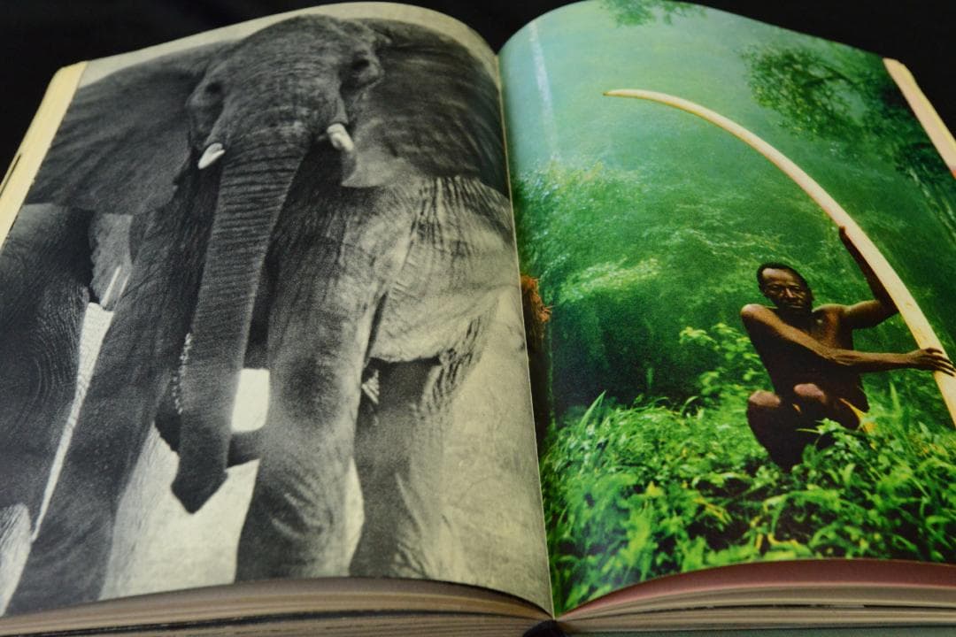 The End of The Game：peter beard ★値下げしました