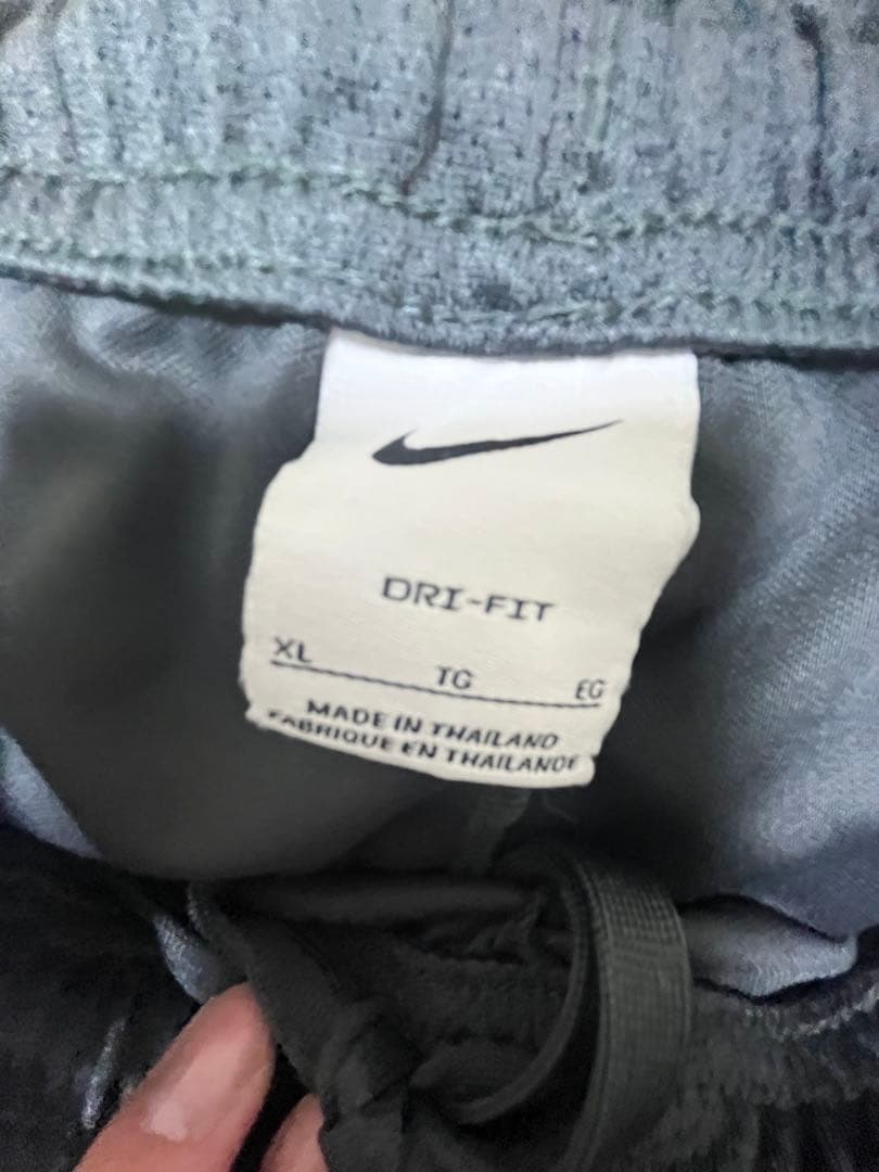 サンフレッチェ広島