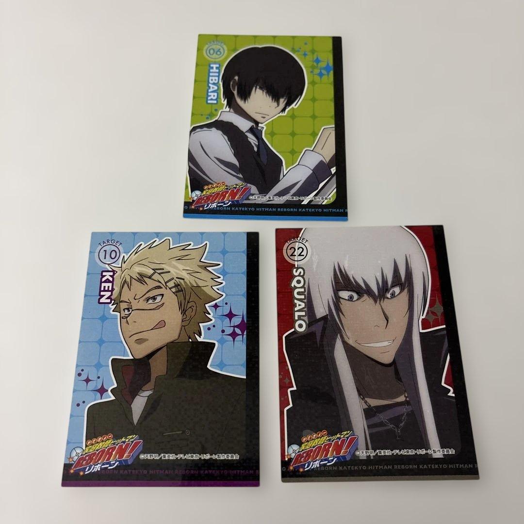 REBORN! リボーン リアルペイント カードのみ 3種