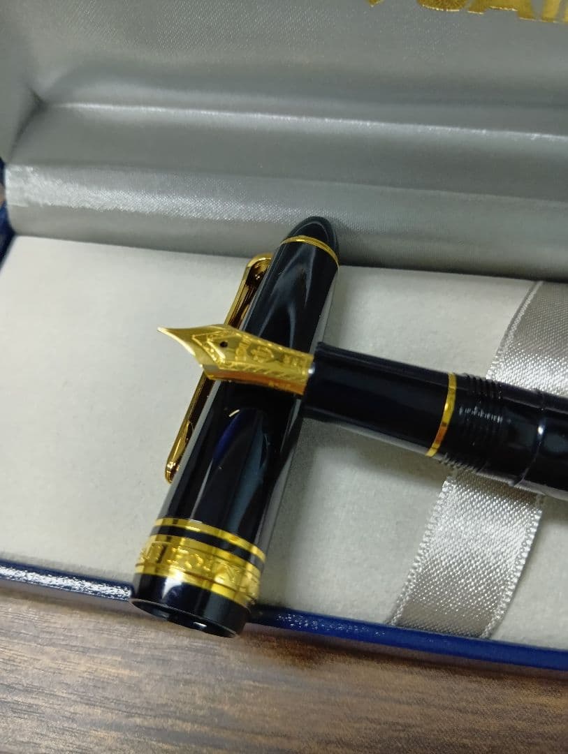 SAILOR 黒 万年筆 専用ケース付き