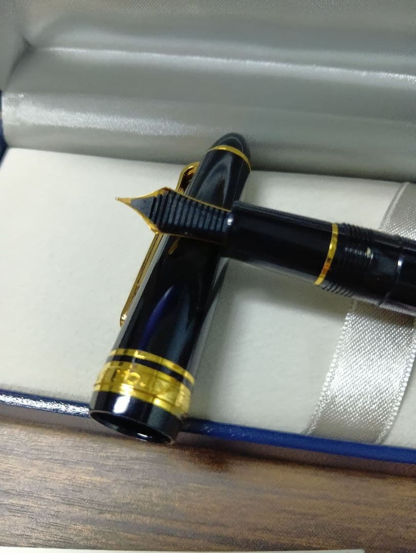 SAILOR 黒 万年筆 専用ケース付き
