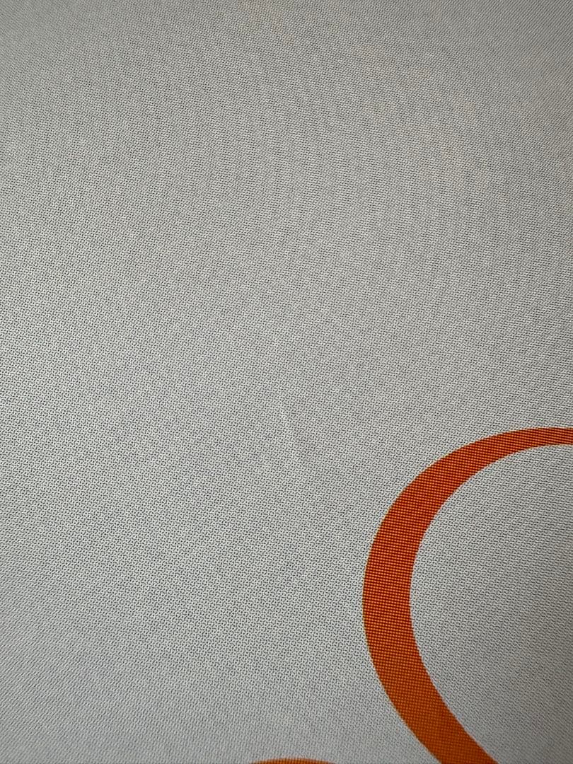 山本梓 等身大ポスター ヤングサンデー応募者全員サービス 黄色水着で挑発