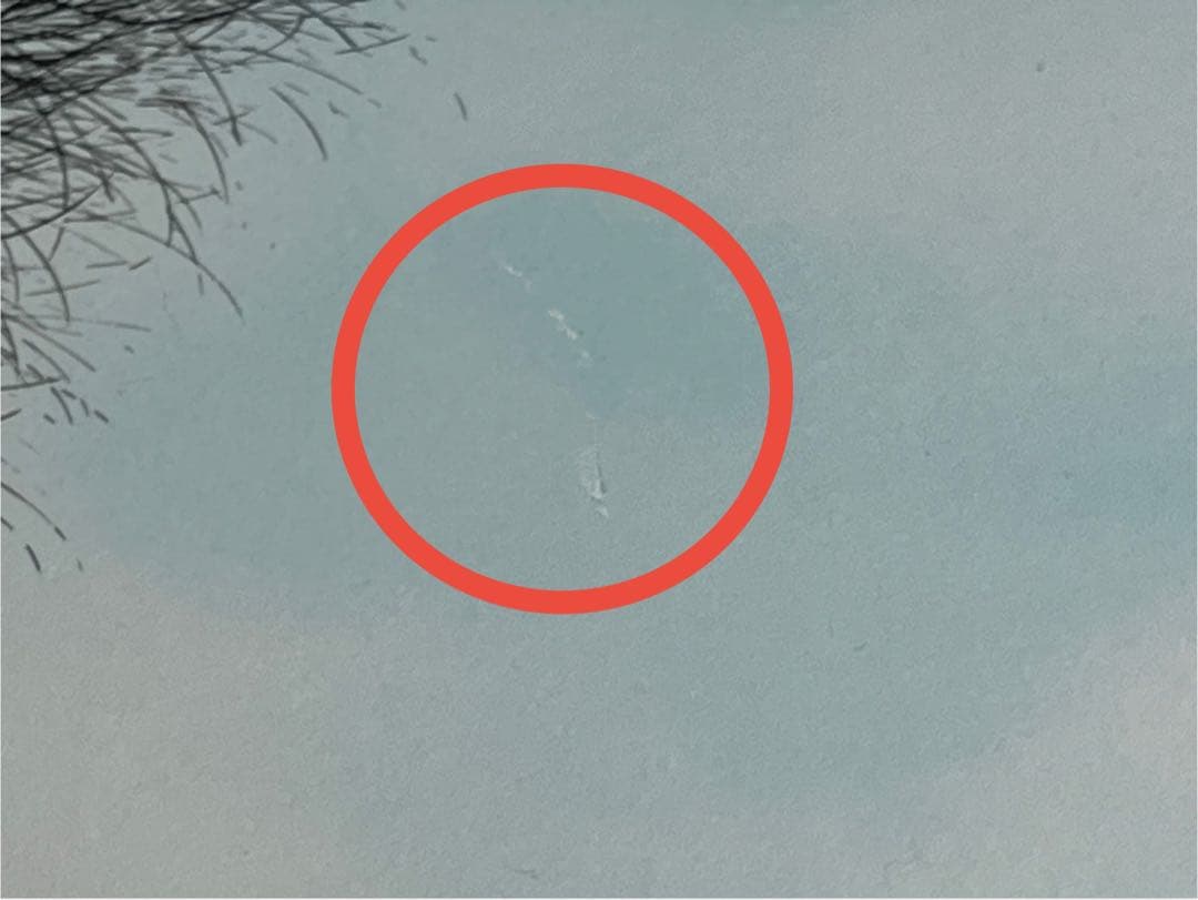 ジャック・デペルト「ブルアールのキャナル」リトグラフ 直筆サイン有 ゴルフ場