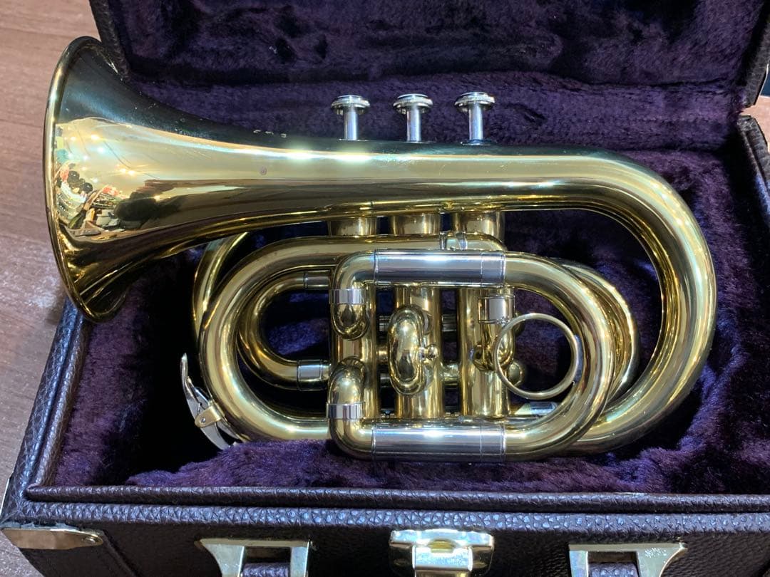 Heinrich へインリッチ ケース付 ポケットトランペット