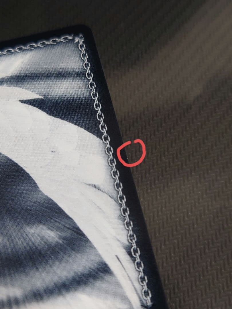 電車とツーショット なでしこ ssp w116-031 箔押しサイン　ヴァイス