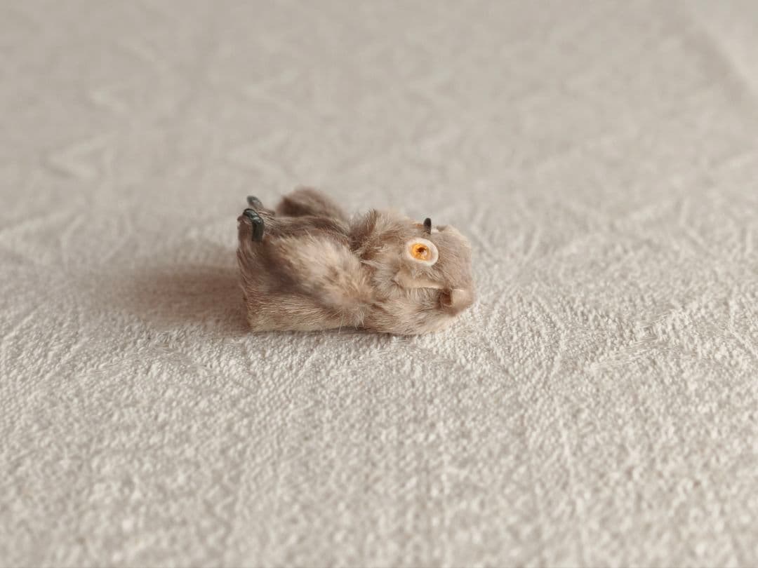 * vintage owl ❀ * もふもふ フクロウさん