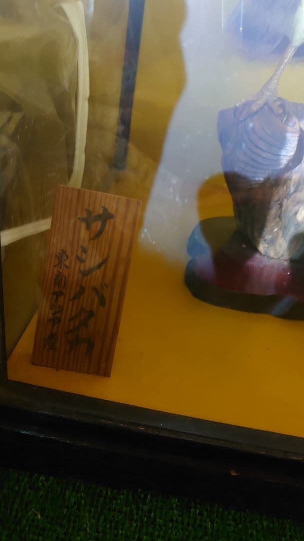 鳥　サシバタカ　剥製　はく製　宇都宮　引き取り