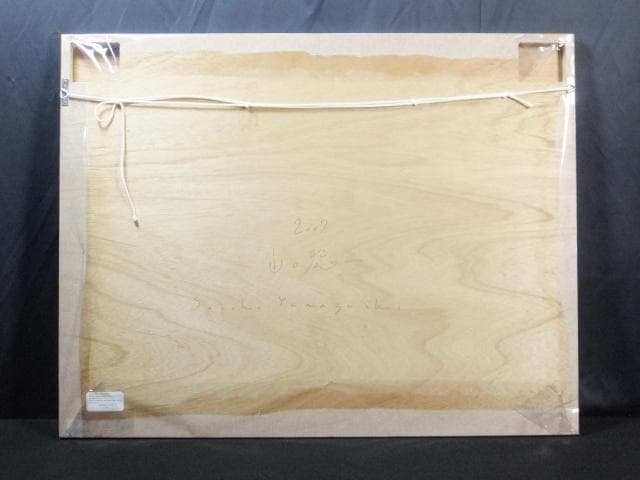 現代アート 山口聡一　直筆サイン『見たい夢は選べない』アクリル絵具 0718K