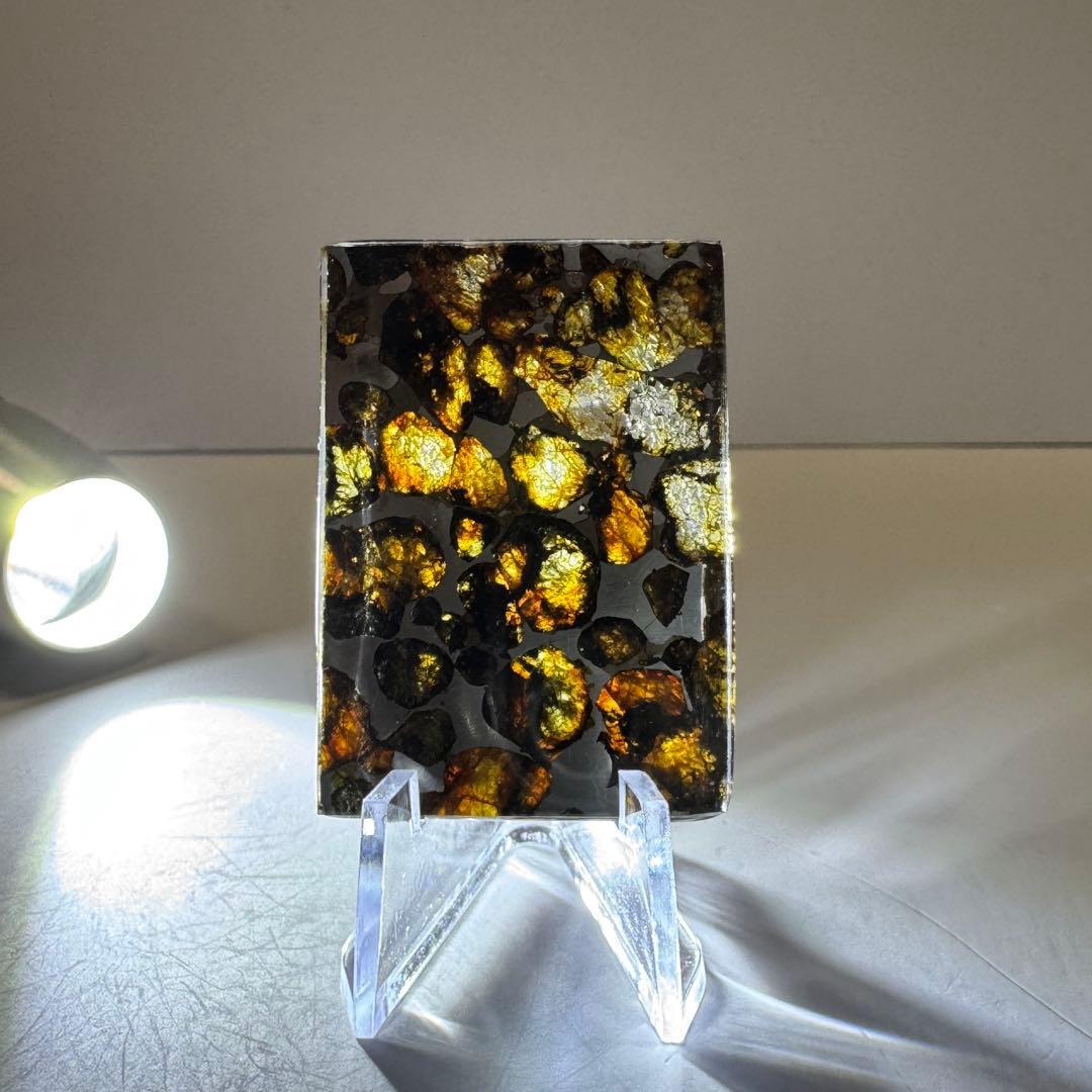 セリコ　パラサイト隕石　高品質　スライス標本　7.6g メテオライト　宇宙パワー