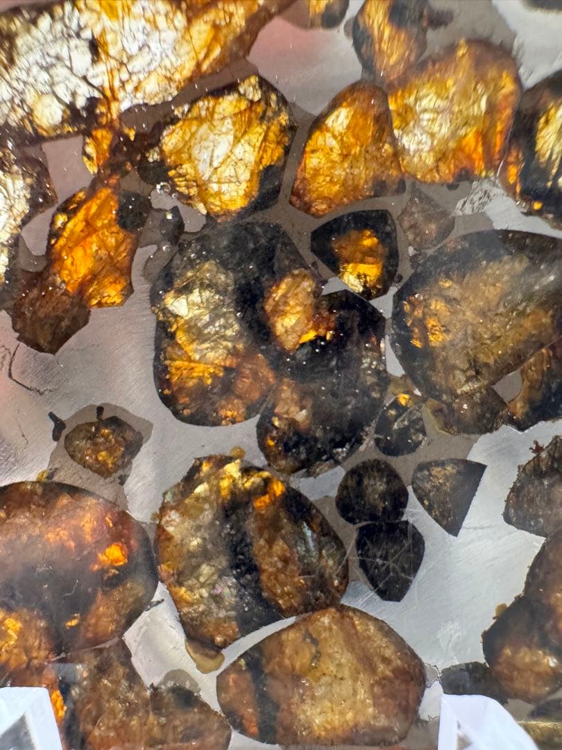 セリコ　パラサイト隕石　高品質　スライス標本　7.6g メテオライト　宇宙パワー