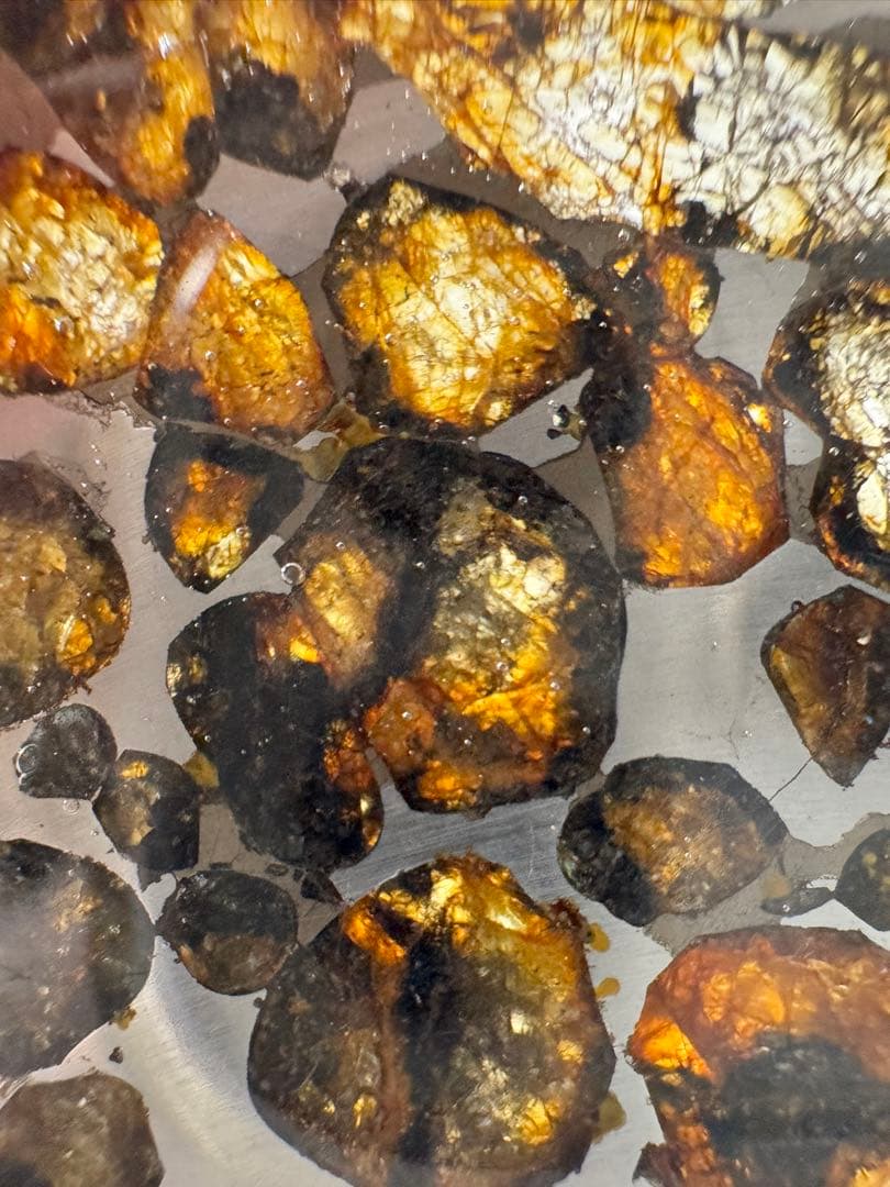 セリコ　パラサイト隕石　高品質　スライス標本　7.6g メテオライト　宇宙パワー