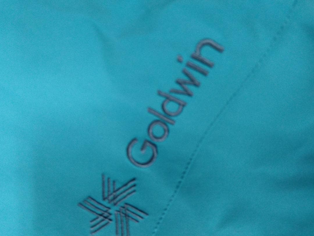 Goldwin スキーパンツ