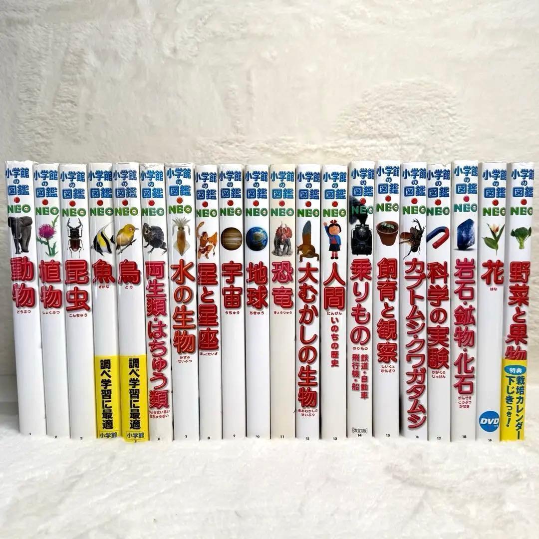【良品・カバーあり】小学館の図鑑NEO 全巻20冊セット （良品・付録つき多数）