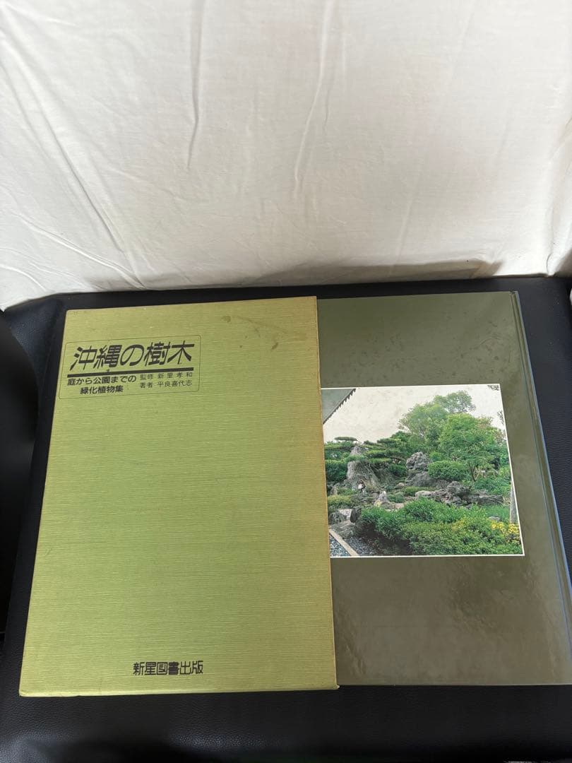 カラー版 沖縄の樹木 庭から公園までの緑化植物集 新興出版社