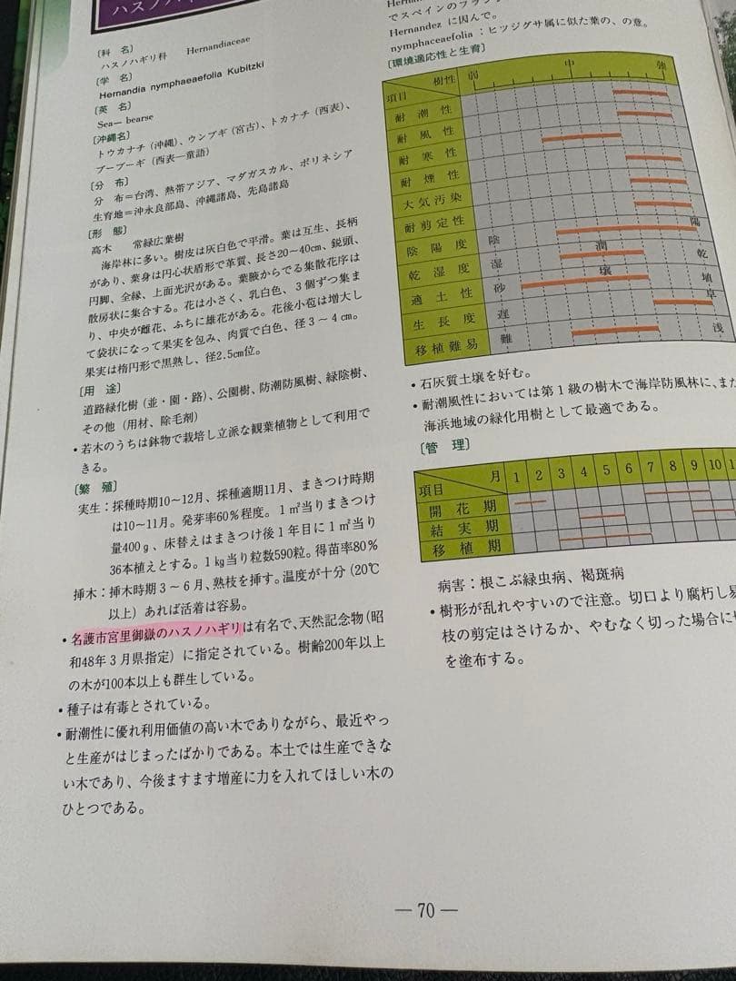 カラー版 沖縄の樹木 庭から公園までの緑化植物集 新興出版社