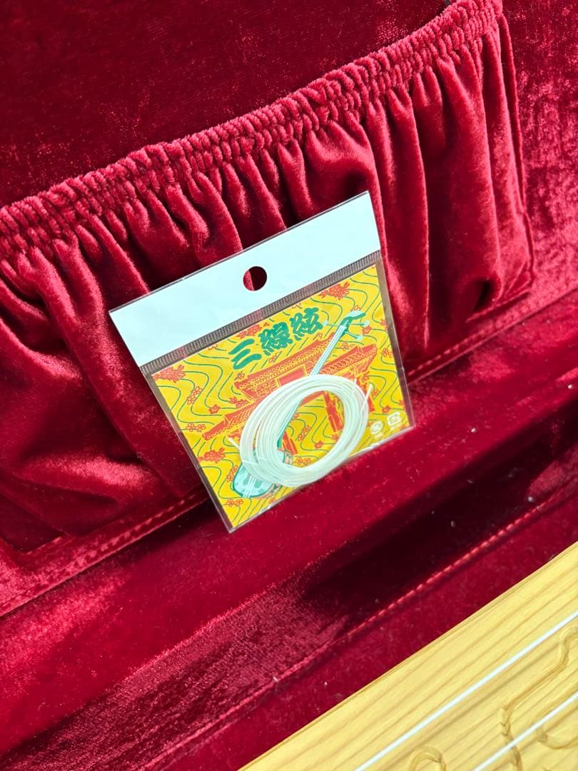 アイヌ　トンコリ　初心者向け　専用ケース付き　替え弦入り　彫刻入り　アイヌ紋様