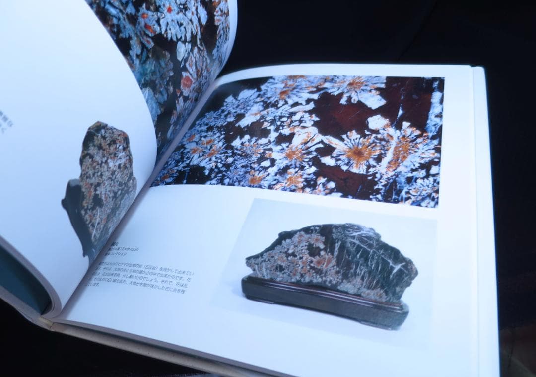 美品　菊花石の世界　石原宣夫